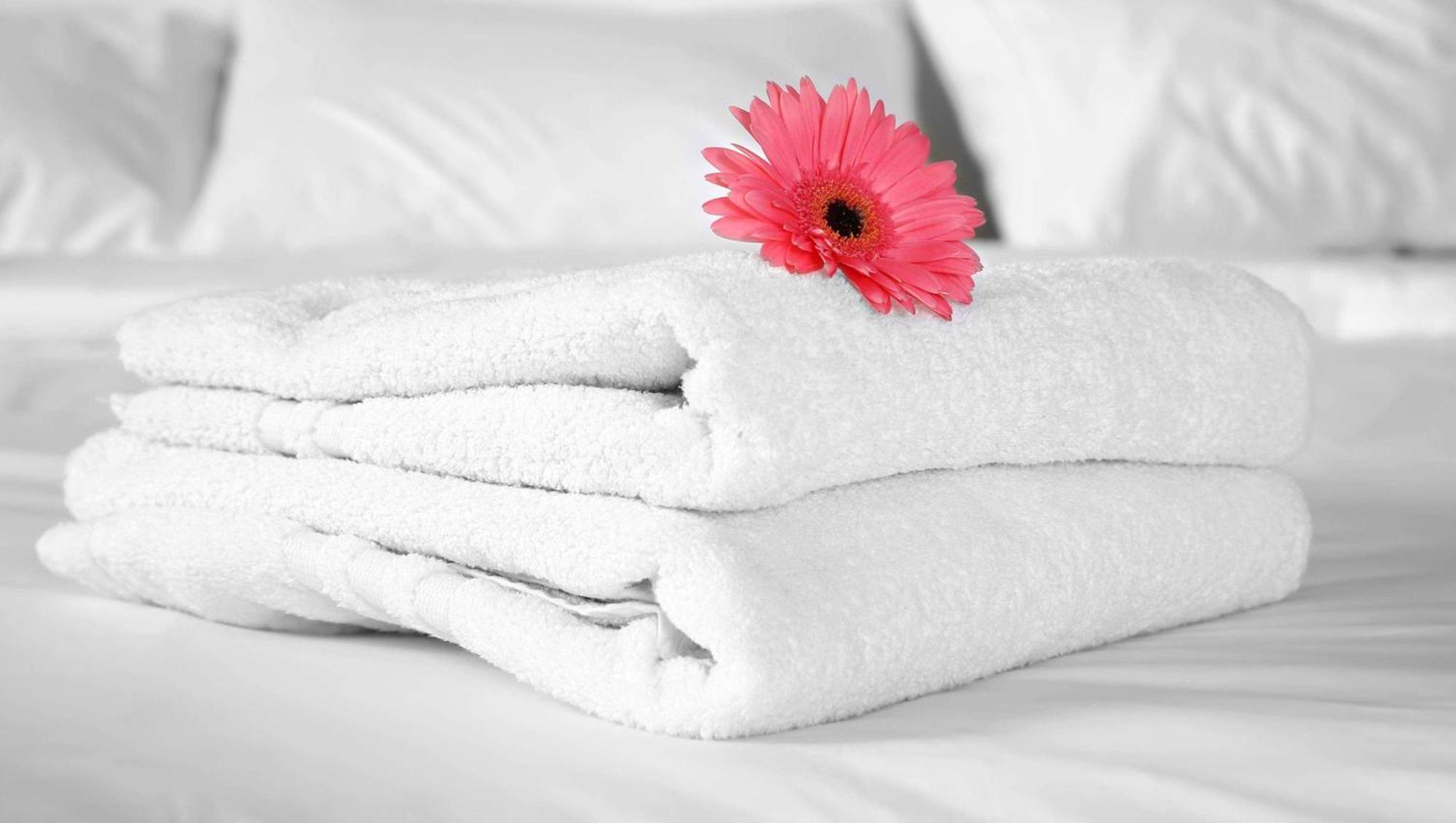 Econo Lodge Inn & Suites Ocean Springs - Biloxi Buitenkant foto